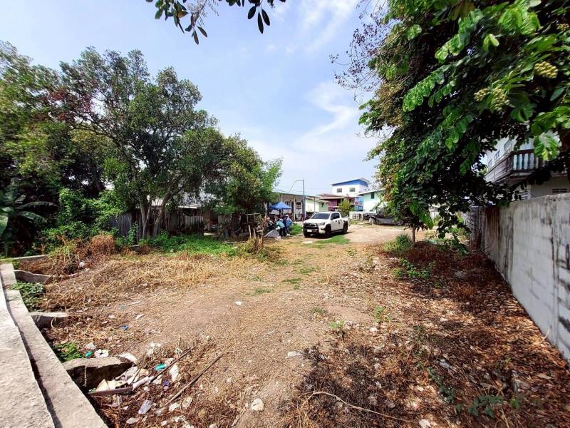 รูปที่2 ต้องการขายที่ดินเปล่า สวนพริกไทย เมืองปทุมธานี ราคา 5,000,000 บาท