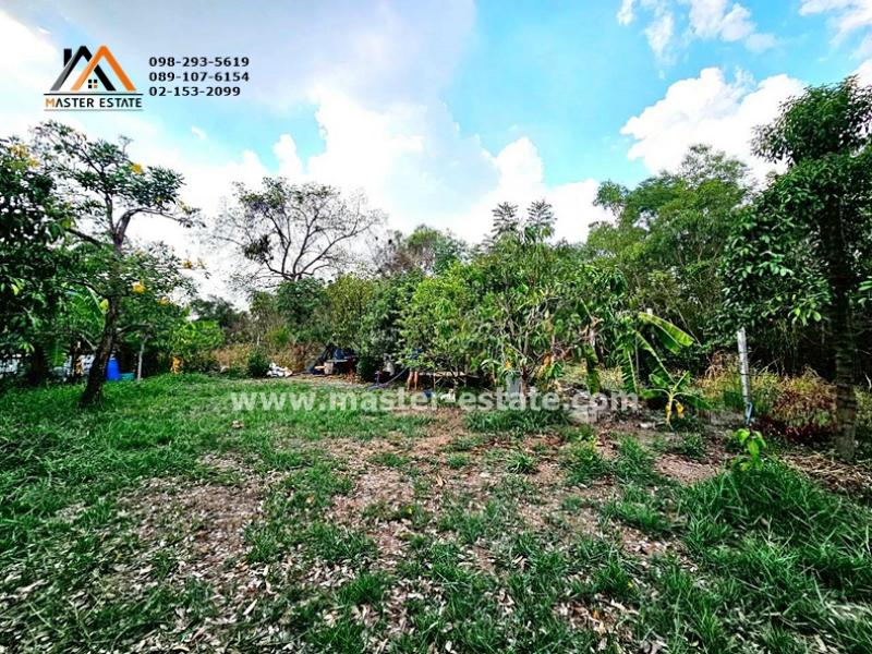 รูปที่5 ต้องการขายที่ดินเปล่า ประชาธิปัตย์ ธัญบุรี ราคา 2,000,000 บาท