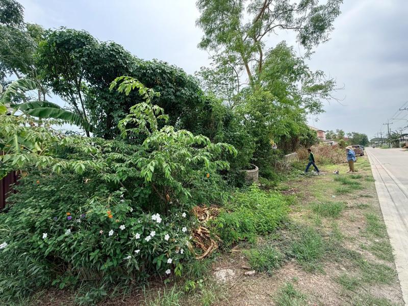 รูปภาพสินทรัพย์
