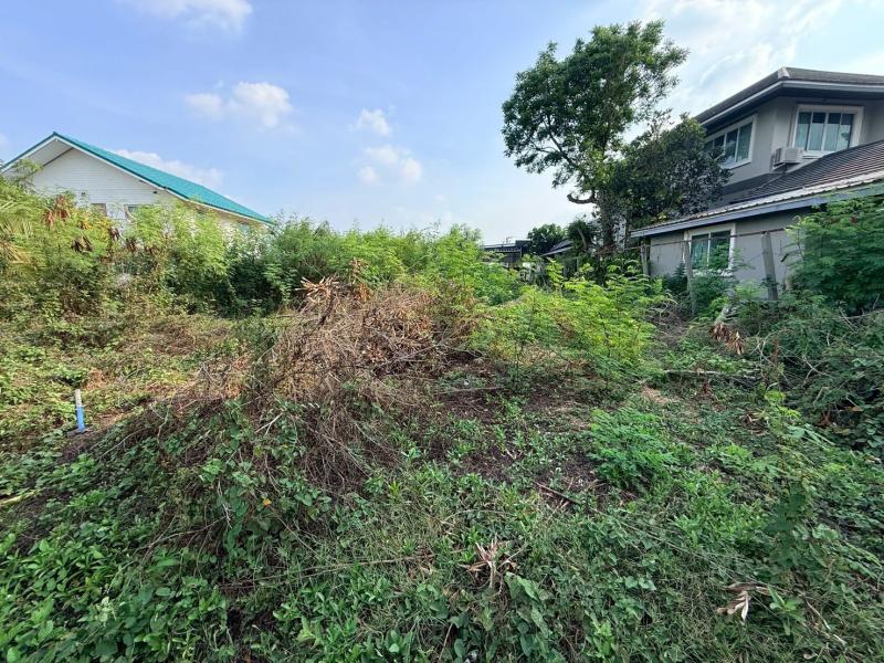 รูปที่3 ต้องการขายที่ดินเปล่า บางหลวง เมืองปทุมธานี ราคา 2,500,000 บาท