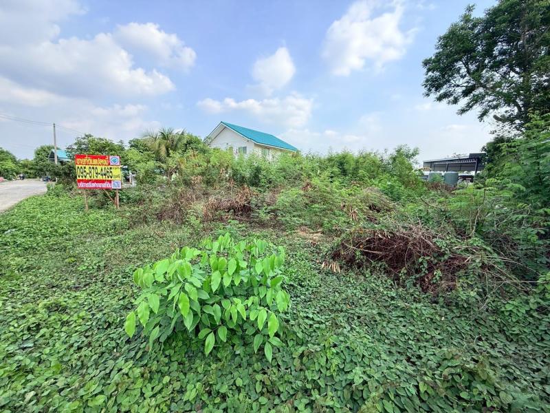 รูปที่6 ต้องการขายที่ดินเปล่า บางหลวง เมืองปทุมธานี ราคา 2,500,000 บาท