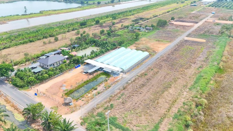 รูปที่4 ต้องการขายที่ดินเปล่า บึงชำอ้อ หนองเสือ ราคา 690,000 บาท