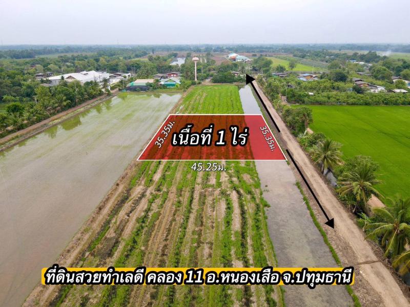 ที่ดินเหมาะทำบ้านสวนเกษตร คลอง 11 อ.หนองเสือ จ.ปทุมธานี แปลงละ 1 ไร่ ล็อก 2 ไร่ละ 750,000 บาท ล็อก 1 ไร่ละ 850,000 บาท สถานที่ใกล้เคียง -วัดป่าคลอง11 2 กม. -ตลาดเจริญกัลป์ 4.5 กม. -รพ.หนองเสือ 4.5 กม.