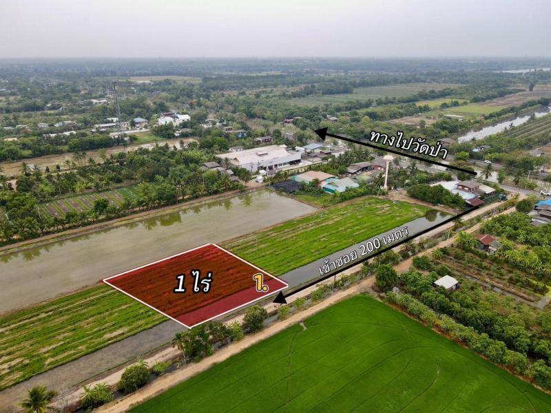 รูปที่3 ต้องการขายที่ดินเปล่า บึงชำอ้อ หนองเสือ ราคา 750,000 บาท