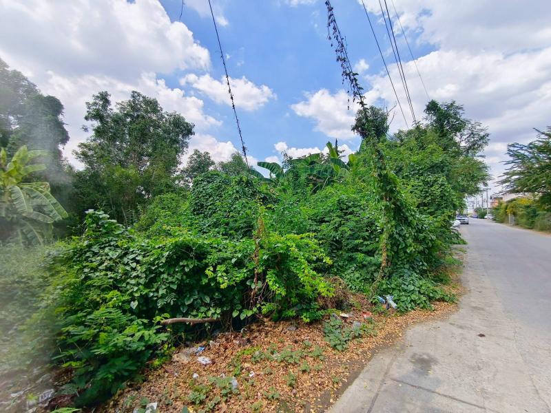 รูปที่5 ต้องการขายที่ดินเปล่า คลองสอง คลองหลวง ราคา 2,808,000 บาท