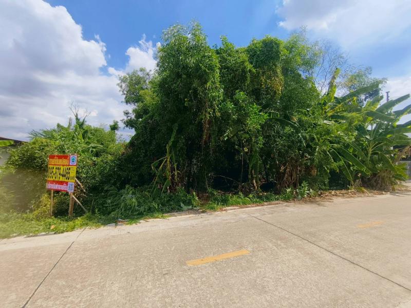 รูปที่6 ต้องการขายที่ดินเปล่า คลองสอง คลองหลวง ราคา 2,808,000 บาท