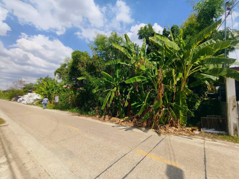 รูปที่7 ต้องการขายที่ดินเปล่า คลองสอง คลองหลวง ราคา 2,808,000 บาท