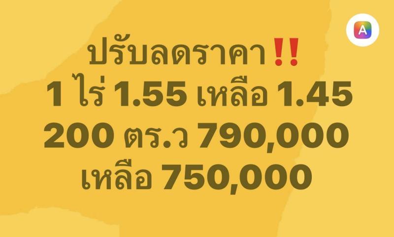 รูปที่2 ต้องการขายที่ดินเปล่า บึงชำอ้อ หนองเสือ ราคา 1,550,000 บาท
