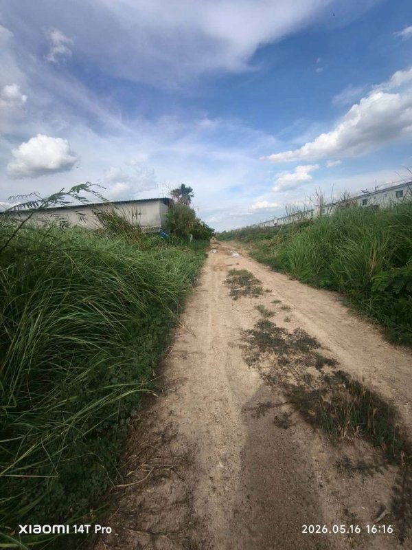รูปที่3 ต้องการขายที่ดินเปล่า ลาดสวาย ลำลูกกา ราคา 3,000,000 บาท