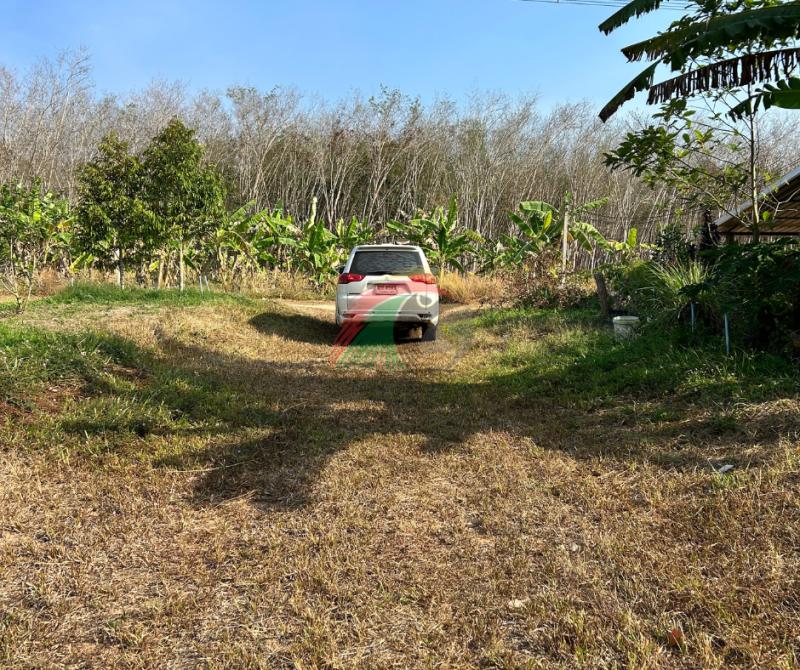 รูปที่4 ต้องการขายที่ดินเปล่า ท่าโรงช้าง พุนพิน ราคา 8,500,000 บาท