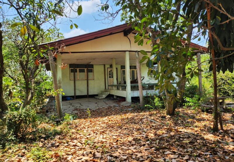 รูปที่2 ต้องการขายบ้านพร้อมที่ดิน สิงหนาท ลาดบัวหลวง ราคา 3,900,000 บาท