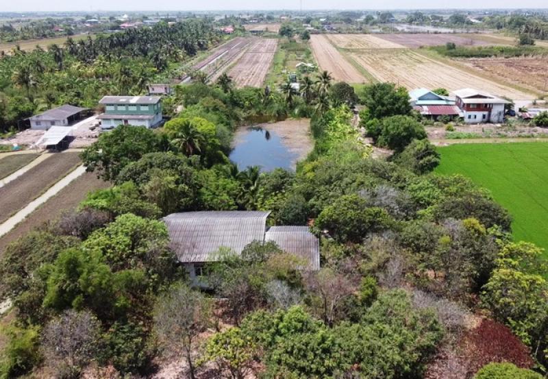 รูปที่4 ต้องการขายบ้านพร้อมที่ดิน สิงหนาท ลาดบัวหลวง ราคา 3,900,000 บาท