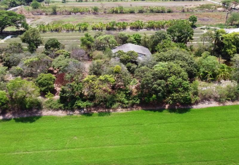 รูปที่6 ต้องการขายบ้านพร้อมที่ดิน สิงหนาท ลาดบัวหลวง ราคา 3,900,000 บาท