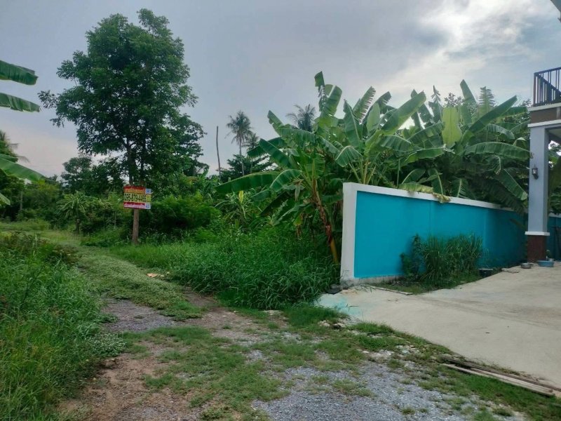 รูปที่2 ต้องการขายที่ดินเปล่า บางกะเจ้า พระประแดง ราคา 2,600,000 บาท