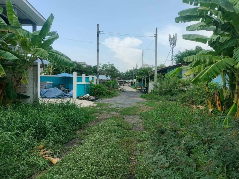รูปที่4 ต้องการขายที่ดินเปล่า บางกะเจ้า พระประแดง ราคา 2,600,000 บาท