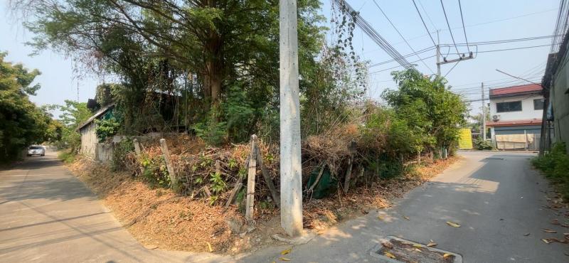 รูปที่2 ต้องการขายบ้านพร้อมที่ดิน เหมืองง่า เมืองลำพูน  