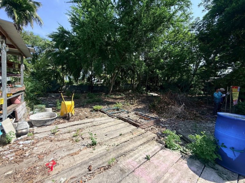 รูปที่3 ต้องการขายที่ดินเปล่า คลองใหม่ สามพราน ราคา 1,000,000 บาท