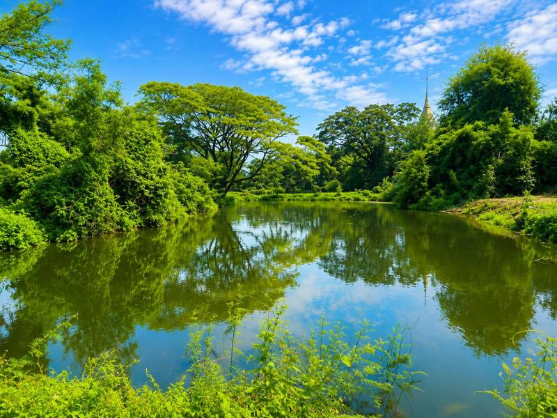 รูปที่3 ต้องการขายที่ดินเปล่า แม่แตง แม่แตง ราคา 2,500,000 บาท
