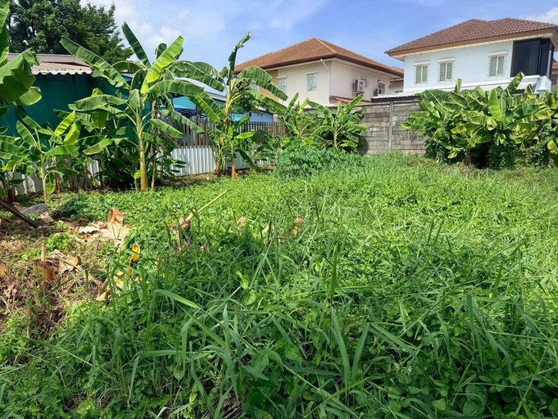 รูปที่5 ต้องการขายที่ดินเปล่า ออเงิน* เขตบางเขน ราคา 1,900,000 บาท