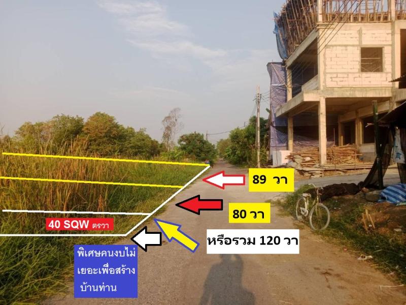 ขายที่ดินจัดสรรพิเศษแปลงจัดสรรพหลโยธิน 54/1 แยก 8-4-3 ย้ำว่าจัดสรร  แปลงพิเศษ 40 ตารางวา ไม่ถึงล้าน 9.6 แสนทำพิเศษมาเพื่อทุกท่านถนนใกล้มาทำให้แล้วรับรองลงทุนคุ้ม ทำเลดี (ซอยตาลเดี่ยว) สวยสวย Facirity
