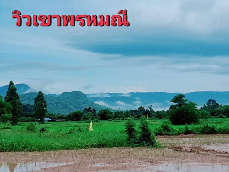 รูปที่3 ต้องการขายที่ดินเปล่า บ้านพร้าว บ้านนา ราคา 450,000 บาท