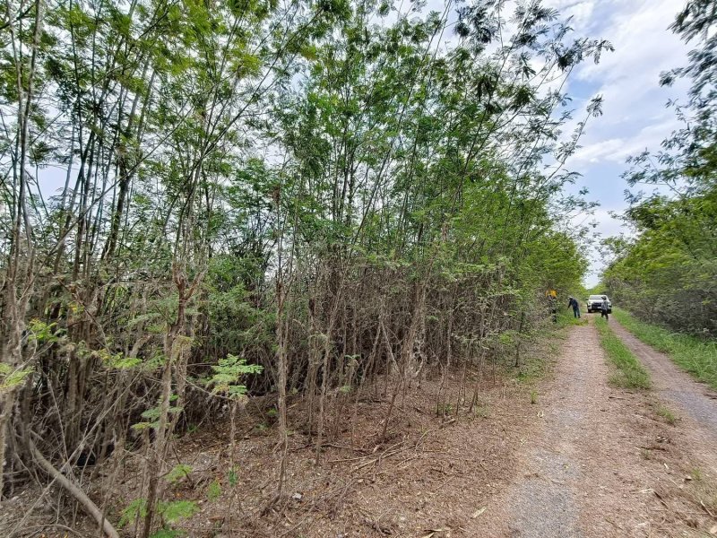 รูปที่5 ต้องการขายที่ดินเปล่า หนองสามวัง หนองเสือ ราคา 800,000 บาท