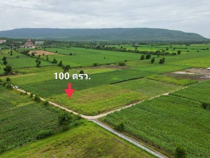 รูปที่2 ต้องการขายที่ดินเปล่า วังเพลิง โคกสำโรง ราคา 100,000 บาท
