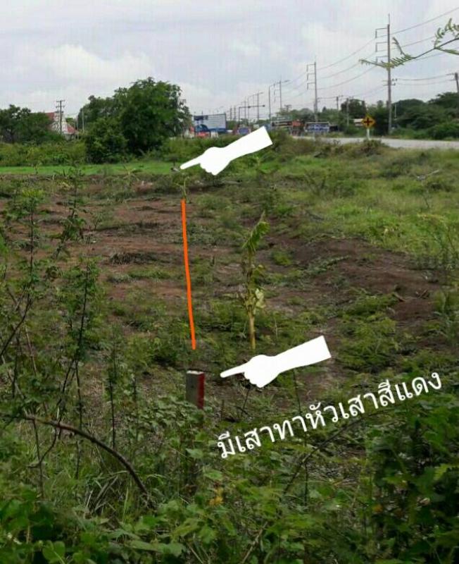 รูปที่4 ต้องการขายที่ดินเปล่า บ้านแพน เสนา ราคา 2,000,000 บาท
