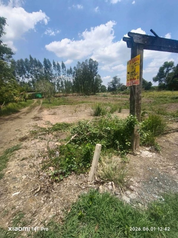 รูปที่4 ต้องการขายที่ดินเปล่า คลองหก คลองหลวง ราคา 4,000,000 บาท
