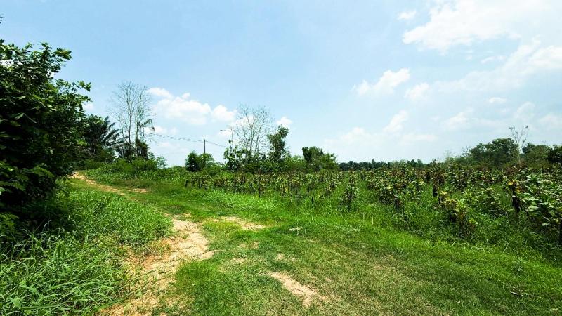 รูปที่5 ต้องการขายที่ดินเปล่า บ้านแพง บ้านแพง ราคา 700,000 บาท