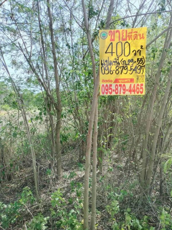 รูปที่4 ต้องการขายที่ดินเปล่า นพรัตน์ หนองเสือ ราคา 700,000 บาท