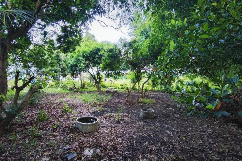 รูปที่3 ต้องการขายบ้านพร้อมที่ดิน นิคมสร้างตนเอง เมืองลพบุรี ราคา 2,600,000 บาท