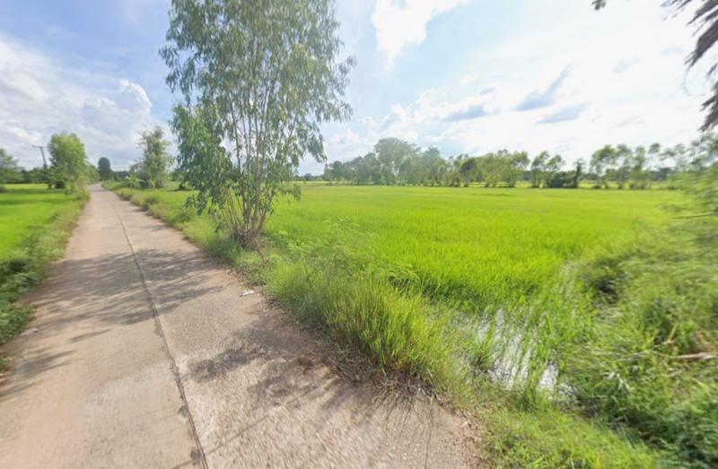 รูปที่4 ต้องการขายที่ดินเปล่า โคกสะอาด ฆ้องชัย  