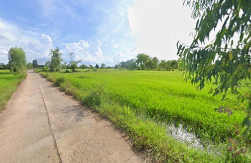 รูปที่5 ต้องการขายที่ดินเปล่า โคกสะอาด ฆ้องชัย  