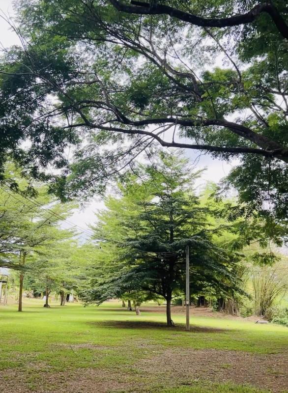 รูปที่8 ต้องการขายที่ดินเปล่า สาริกา เมืองนครนายก ราคา 5,000,000 บาท