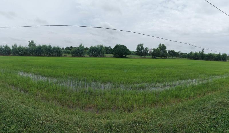 รูปที่2 ต้องการขายที่ดินเปล่า หินกอง สุวรรณภูมิ  