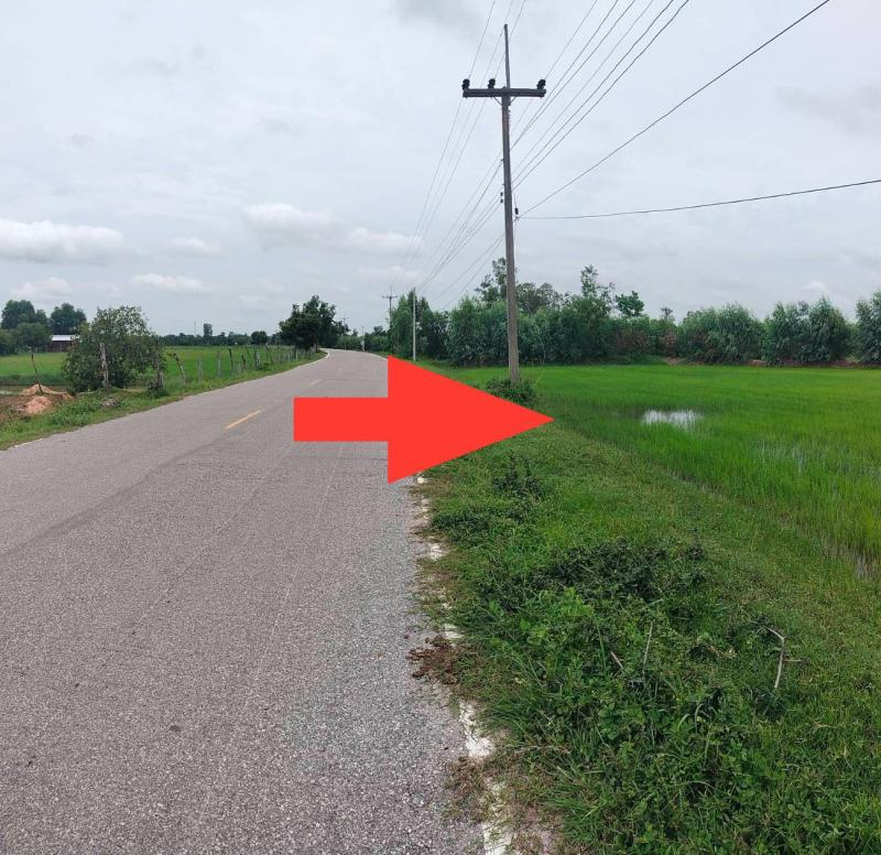 รูปที่3 ต้องการขายที่ดินเปล่า หินกอง สุวรรณภูมิ  