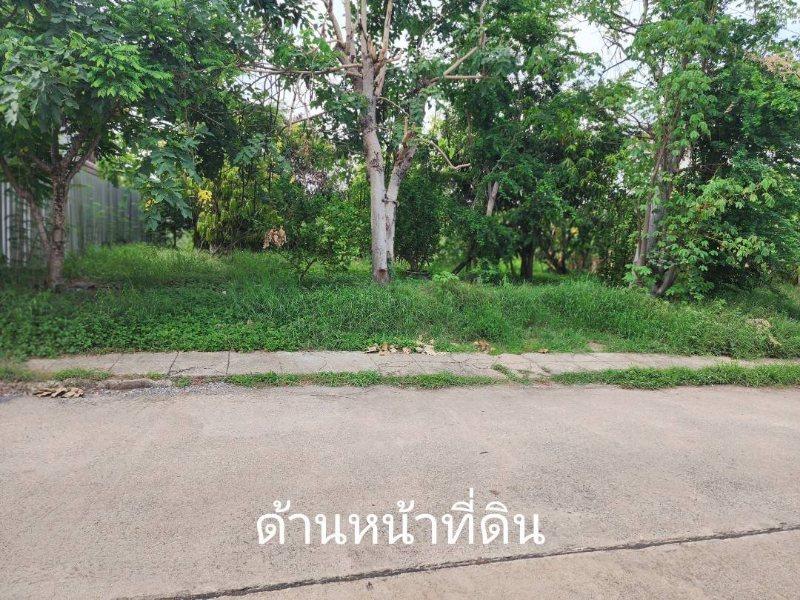 ขายที่ดิน 100ตรว.ถ.คุ้มเกล้า ซ.4/1 ใกล้ถนนใหญ่เพียง 120ม.