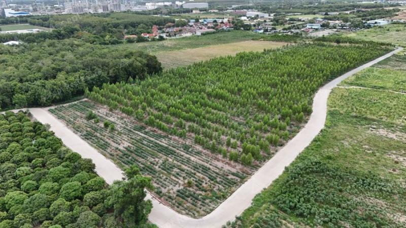 รูปที่4 ต้องการขายที่ดินเปล่า มาบตาพุด เมืองระยอง ราคา 3,000,000 บาท