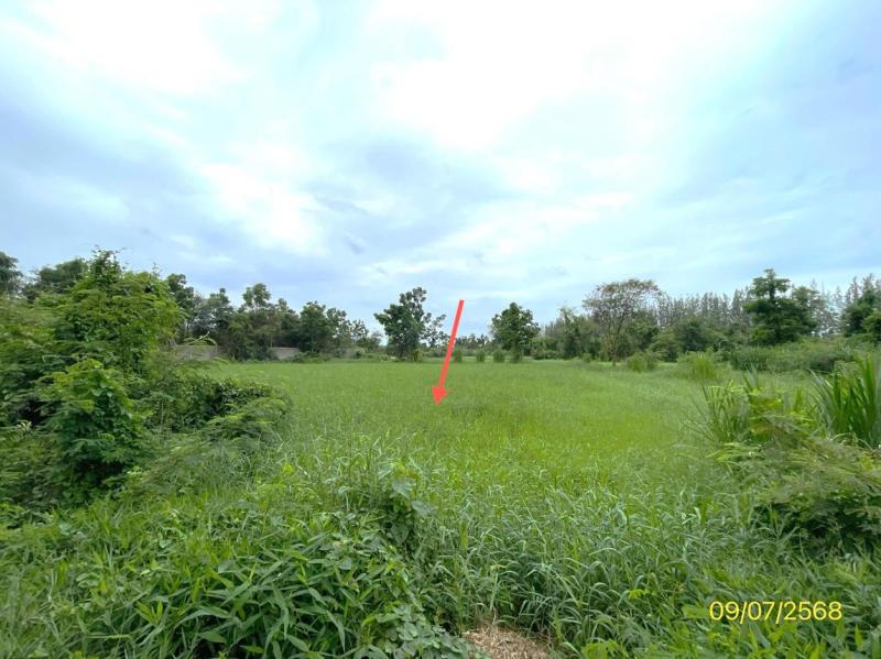 รูปที่7 ต้องการขายบ้านพร้อมที่ดิน ดอนทราย ปากท่อ  