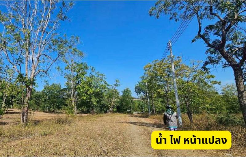 รูปที่2 ต้องการขายที่ดินเปล่า วังจันทร์ แก่งกระจาน ราคา 385,000 บาท