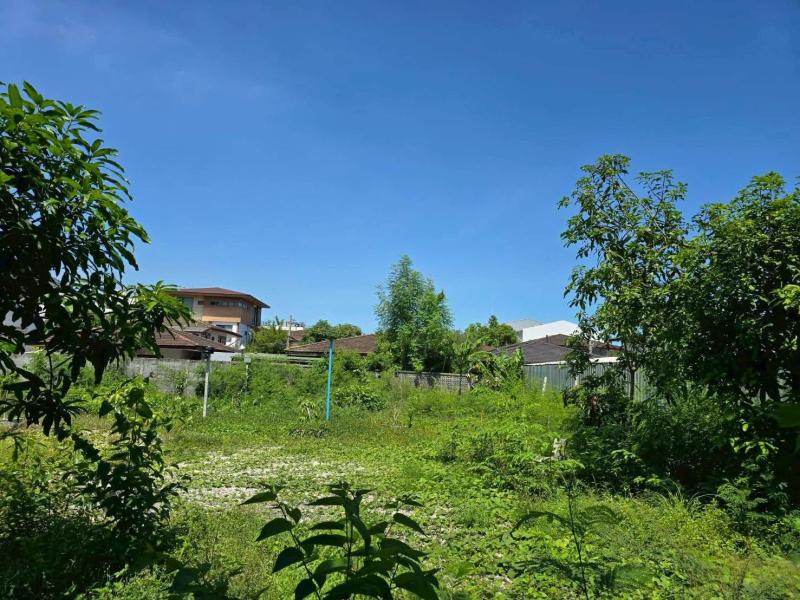 รูปที่3 ต้องการขายที่ดินเปล่า บางนา* เขตพระโขนง ราคา 50,660,000 บาท