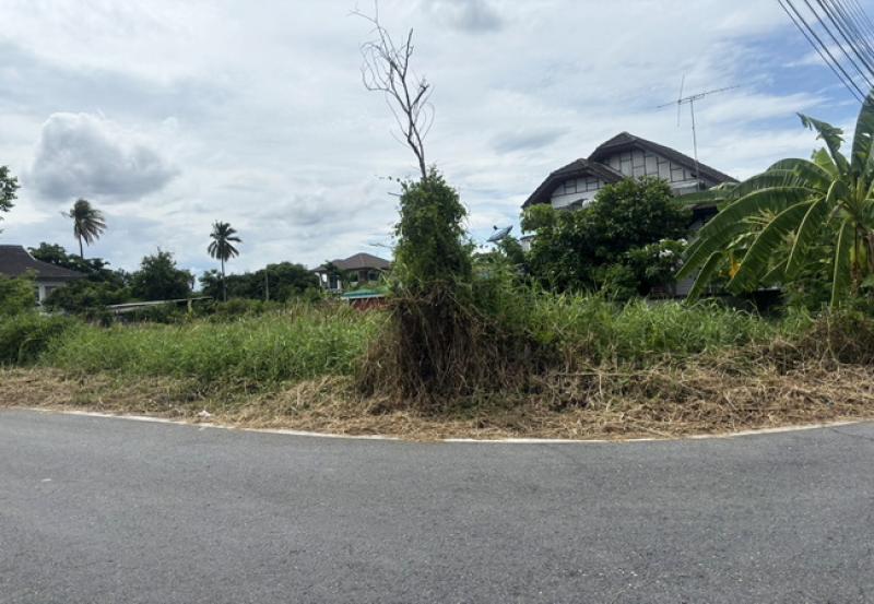 รูปที่2 ต้องการขายที่ดินเปล่า สามพราน สามพราน ราคา 1,157,000 บาท