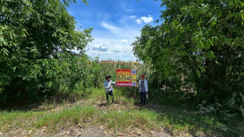รูปภาพสินทรัพย์