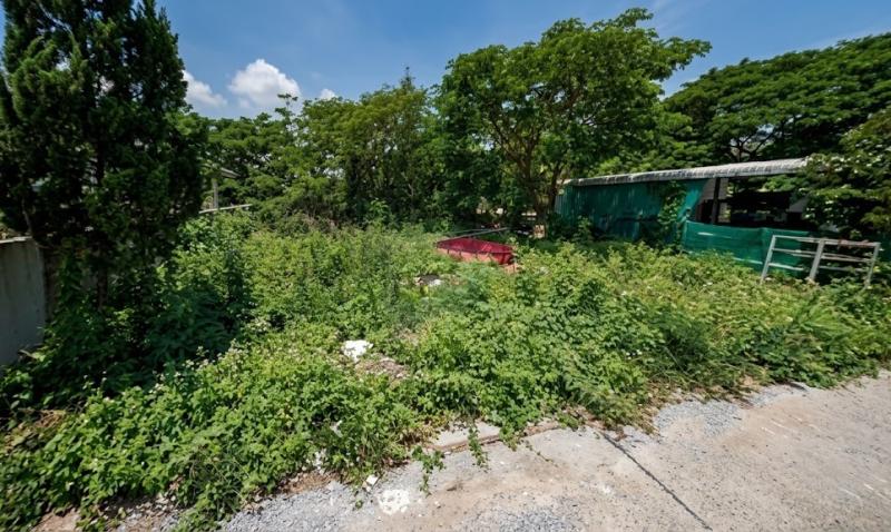 รูปที่4 ต้องการขายที่ดินเปล่า ชมภู สารภี ราคา 1,000,000 บาท