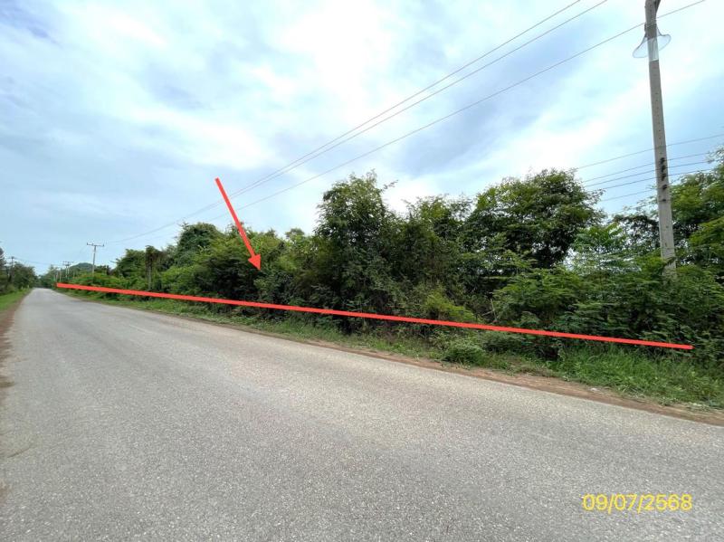 รูปที่2 ต้องการขายที่ดินเปล่า ดอนทราย ปากท่อ  