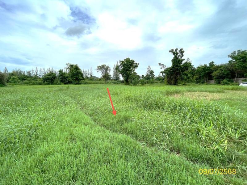 รูปที่5 ต้องการขายที่ดินเปล่า ดอนทราย ปากท่อ  