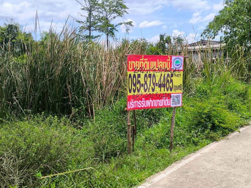 รูปภาพสินทรัพย์