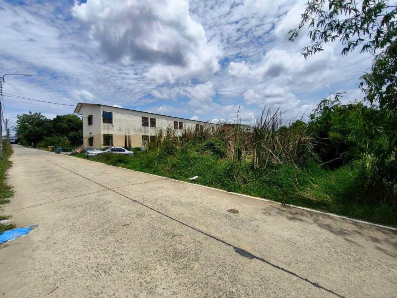 รูปที่2 ต้องการขายที่ดินเปล่า พิมลราช บางบัวทอง ราคา 3,630,000 บาท