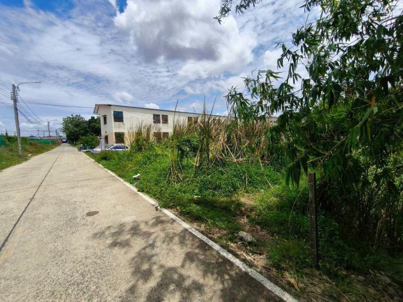 รูปที่3 ต้องการขายที่ดินเปล่า พิมลราช บางบัวทอง ราคา 3,630,000 บาท